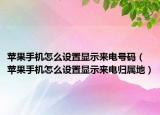 苹果手机怎么设置显示来电号码（苹果手机怎么设置显示来电归属地）