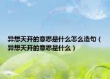 异想天开的意思是什么怎么造句（异想天开的意思是什么）