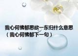 我心何怫郁思欲一东归什么意思（我心何怫郁下一句）