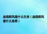 血雨腥风是什么生肖（血雨腥风是什么意思）