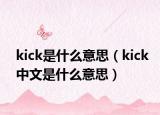 kick是什么意思（kick中文是什么意思）