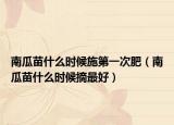 南瓜苗什么时候施第一次肥（南瓜苗什么时候摘最好）