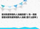 歌词有爱恨情仇人消瘦的歌?（有一首新歌歌词里有爱恨情仇人消瘦 是什么歌啊）