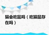 猫会吃鼠吗（吃猫鼠存在吗）