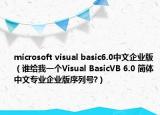 microsoft visual basic6.0中文企业版（谁给我一个Visual BasicVB 6.0 简体中文专业企业版序列号?）