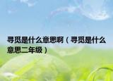 寻觅是什么意思啊（寻觅是什么意思二年级）
