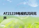 AT21228电视机沉闷无声