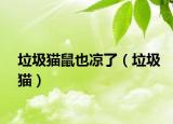垃圾猫鼠也凉了（垃圾猫）