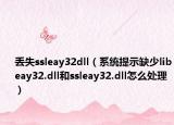 丢失ssleay32dll（系统提示缺少libeay32.dll和ssleay32.dll怎么处理）
