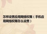 怎样设置应用网络权限（手机应用网络权限怎么设置）