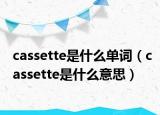 cassette是什么单词（cassette是什么意思）