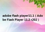 adobe flash player11.1（Adobe Flash Player 11.2 r202）