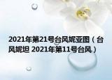 2021年第21号台风妮亚图（台风妮坦 2021年第11号台风）