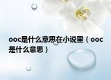 ooc是什么意思在小说里（ooc是什么意思）