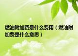 燃油附加费是什么费用（燃油附加费是什么意思）