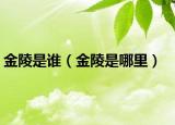 金陵是谁（金陵是哪里）
