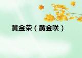 黄金荣（黄金咲）