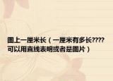图上一厘米长（一厘米有多长????可以用直线表明或者是图片）