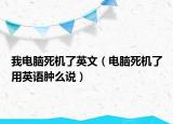 我电脑死机了英文（电脑死机了用英语肿么说）