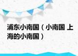 浦东小南国（小南国 上海的小南国）