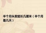 半个月头发能长几厘米（半个月是几天）