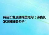 待我长发及腰唯美短句（待我长发及腰唯美句子）