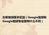 谷歌地球版本区别（Google地球和Google地球专业版有什么不同）