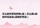 怎么制作系统修复u盘（怎么用u盘制作完美者u盘维护系统）