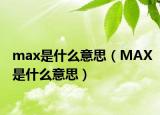 max是什么意思（MAX是什么意思）
