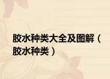 胶水种类大全及图解（胶水种类）