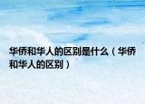 华侨和华人的区别是什么（华侨和华人的区别）