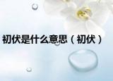 初伏是什么意思（初伏）
