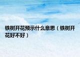 铁树开花预示什么意思（铁树开花好不好）