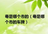 粤是哪个市的（粤是哪个市的车牌）