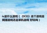 ic是什么游戏（《ICO》这个游戏是网络游戏还是单机游戏 好玩吗）