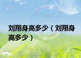 刘翔身高多少（刘翔身高多少）