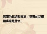 蔷薇的花语和寓意（蔷薇的花语和寓意是什么）