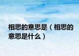 相思的意思是（相思的意思是什么）