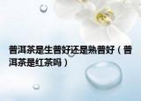普洱茶是生普好还是熟普好（普洱茶是红茶吗）