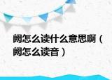 阙怎么读什么意思啊（阙怎么读音）