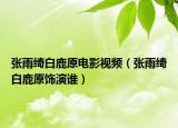 张雨绮白鹿原电影视频（张雨绮白鹿原饰演谁）