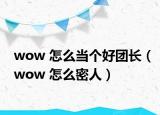 wow 怎么当个好团长（wow 怎么密人）