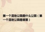 第一个湿地公园是什么公园（第一个湿地公园是哪里）