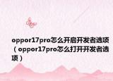 oppor17pro怎么开启开发者选项（oppor17pro怎么打开开发者选项）