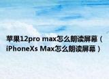 苹果12pro max怎么朗读屏幕（iPhoneXs Max怎么朗读屏幕）