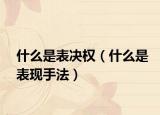 什么是表决权（什么是表现手法）