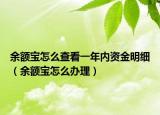 余额宝怎么查看一年内资金明细（余额宝怎么办理）