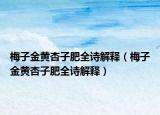 梅子金黄杏子肥全诗解释（梅子金黄杏子肥全诗解释）