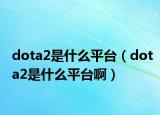dota2是什么平台（dota2是什么平台啊）