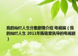 我的灿烂人生分集剧情介绍 电视猫（我的灿烂人生 2011年陈铭章执导的电视剧）